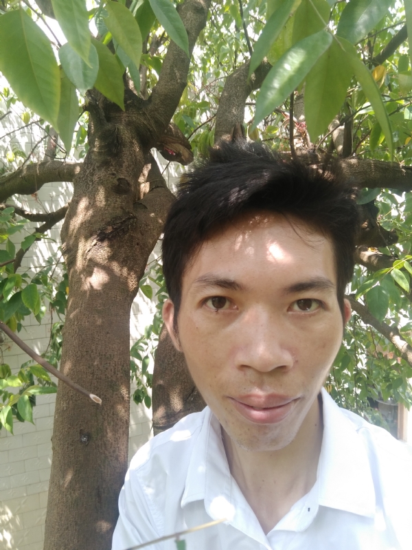 求缘的第一张照片--广东闪婚服务中心
