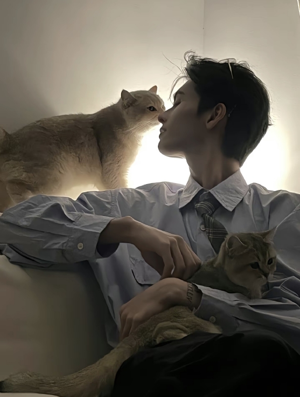 怪猫的第一张照片--广东闪婚服务中心