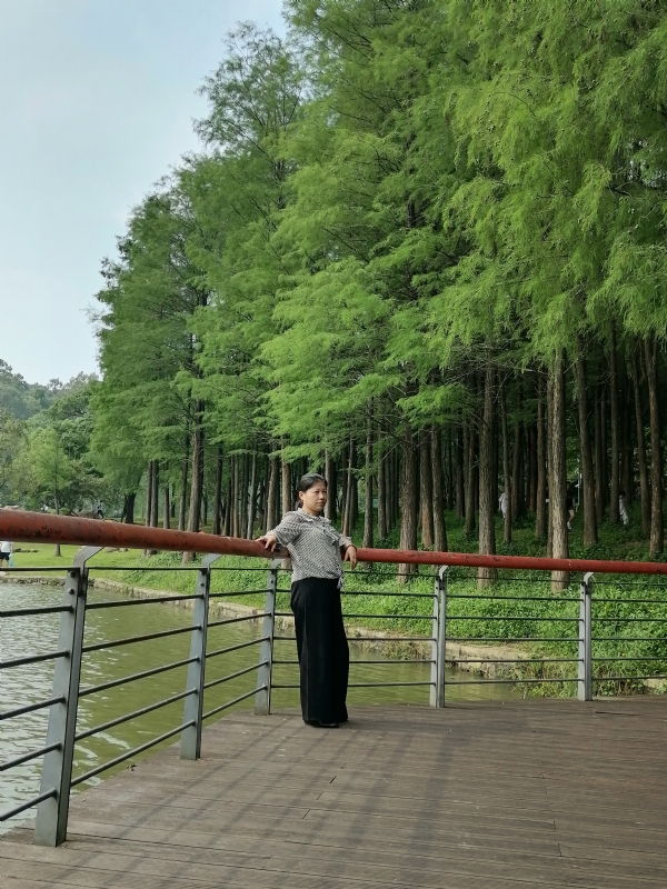 遗失的记忆的第二张照片--广东闪婚服务中心